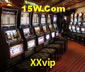 XXvip - User Statistics